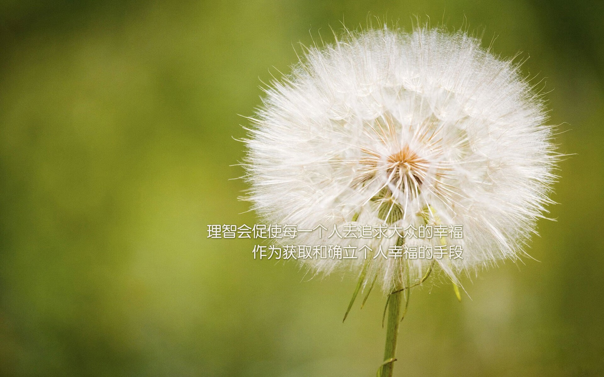 雷火电竞简介-节奏大师的独角戏，巴斯托尼如何以一人之力肢解皇家社会