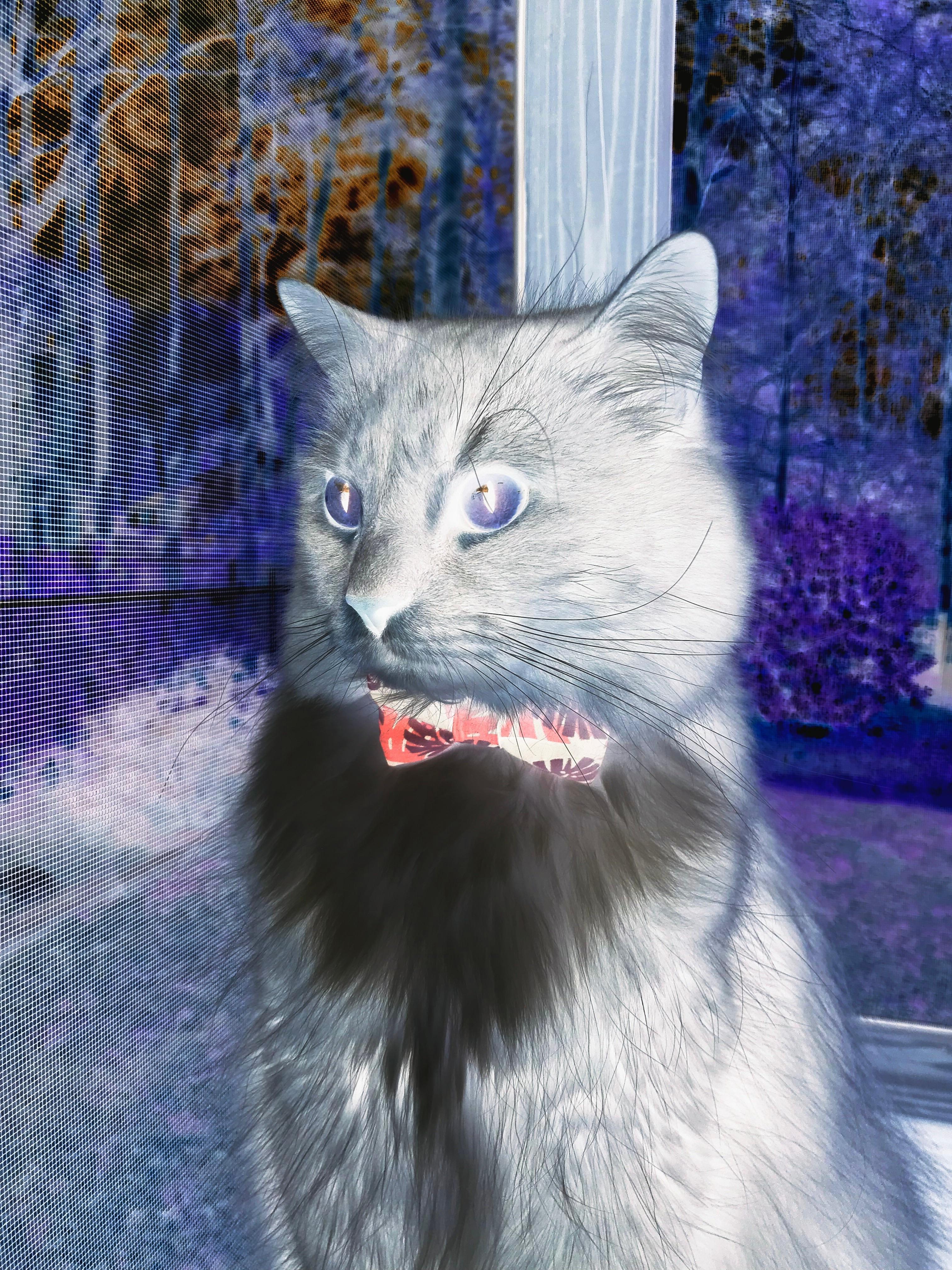 库里数据全面爆炸，爵士却用防守锁死掘金，两个赛场，谁才是真正的赢家？