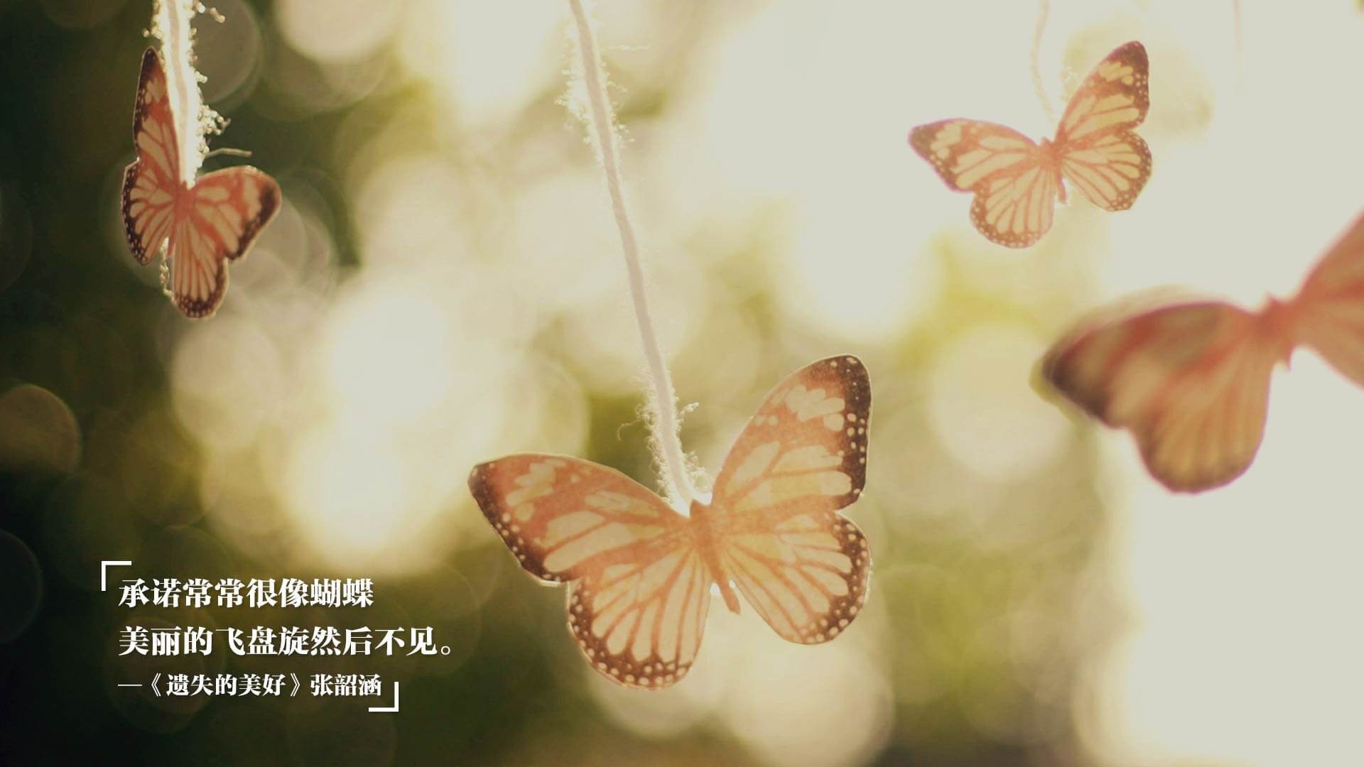 文班亚马稳定输出不掉线，凯尔特人跨界激战吉林队，篮球全球化的奇幻之夜