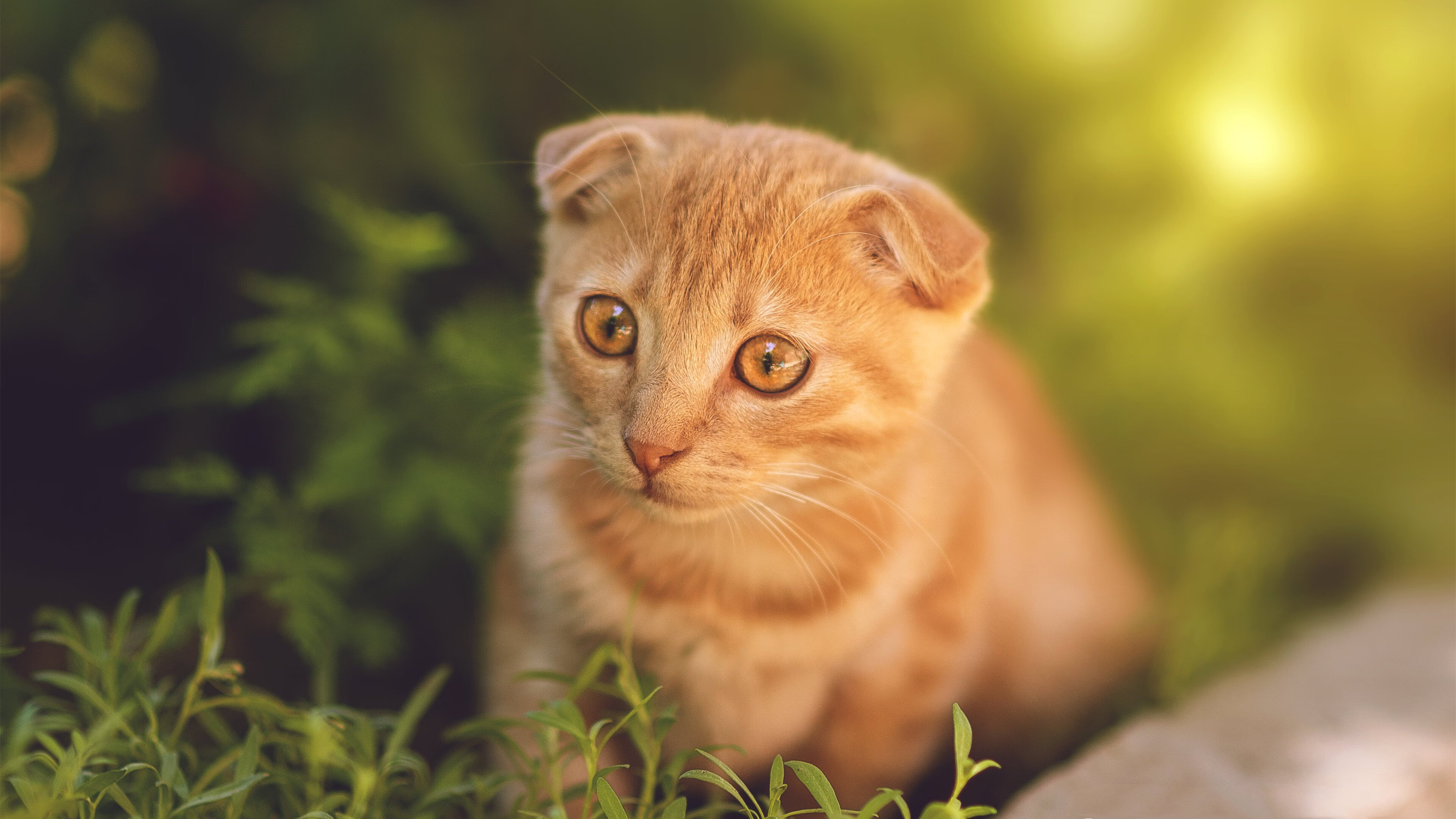 钢铁厂灯光熄灭时，谁点亮了马德里的天空