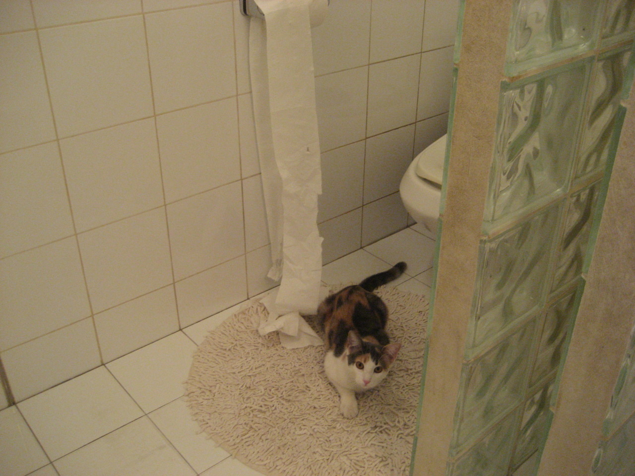 马克西单骑闯天山，新疆队铁血冰封热火