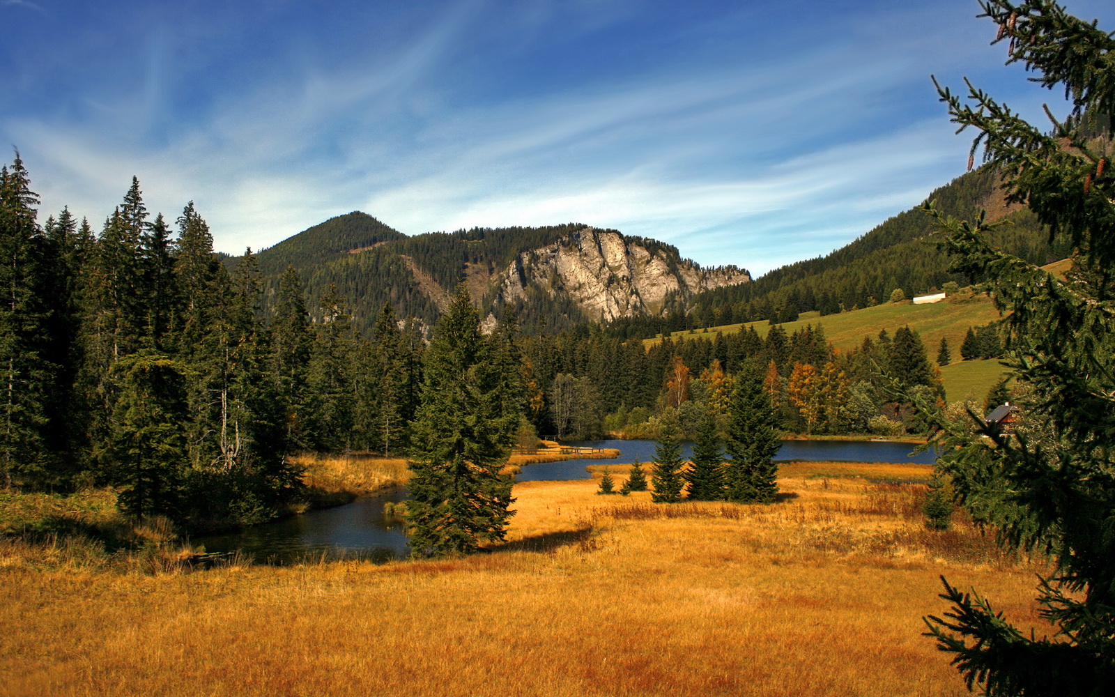 雷火电竞简介-未完成的杰作，当雷霆遇上雄鹿，锡安在画布上签下自己的名字