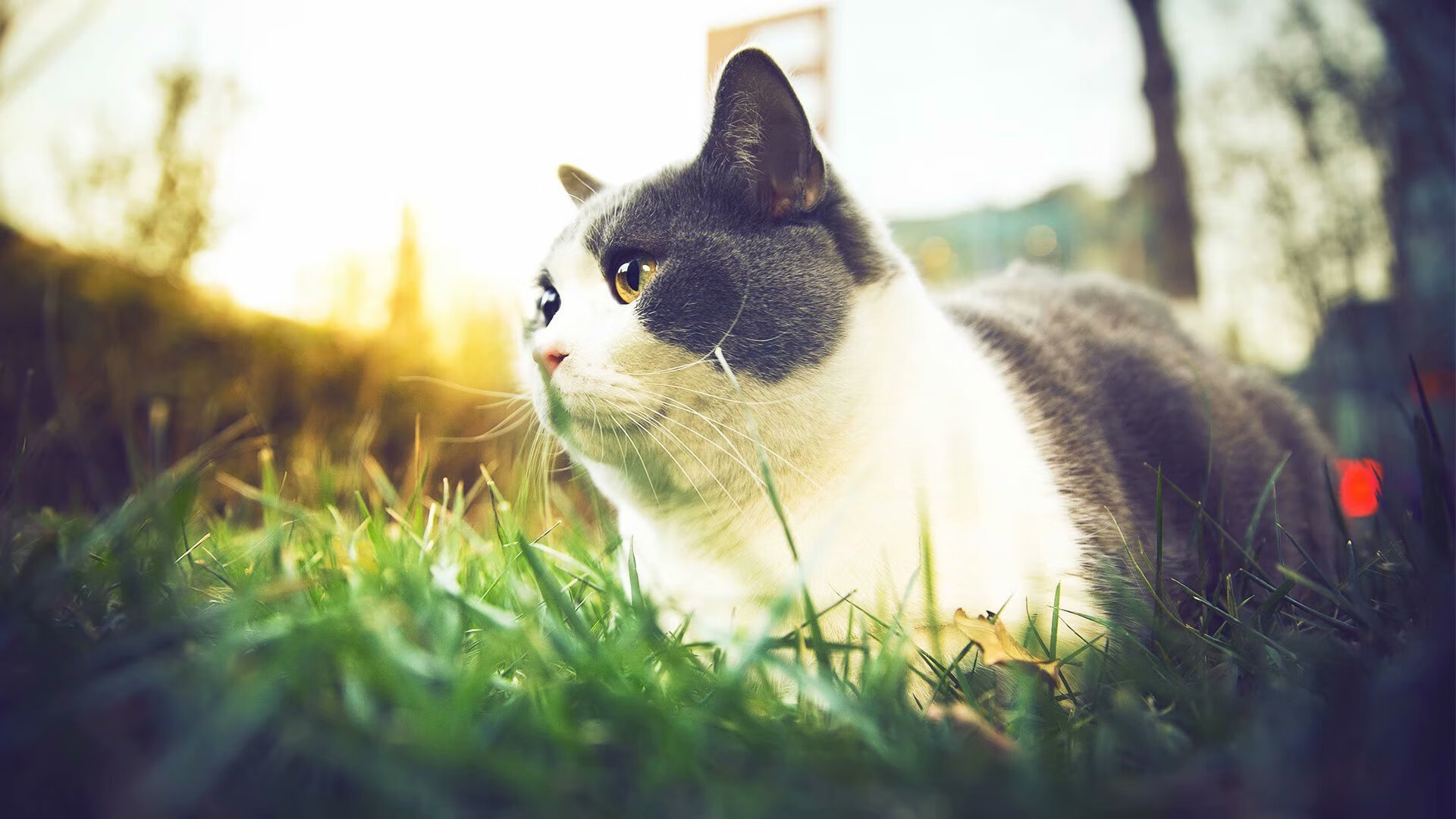 爆冷！山西队终结篮网不败金身，英格拉姆末节15分化身关键先生