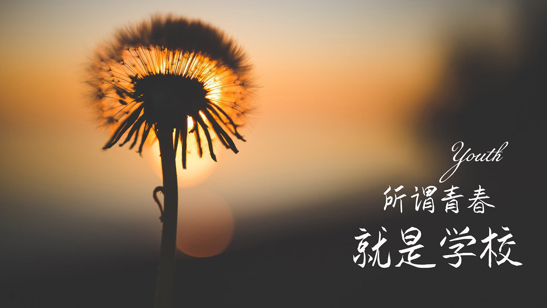 一夫当关，阿方索·戴维斯如何在2026世界杯F组生死战中撕裂乌拉圭，改写美国足球命运