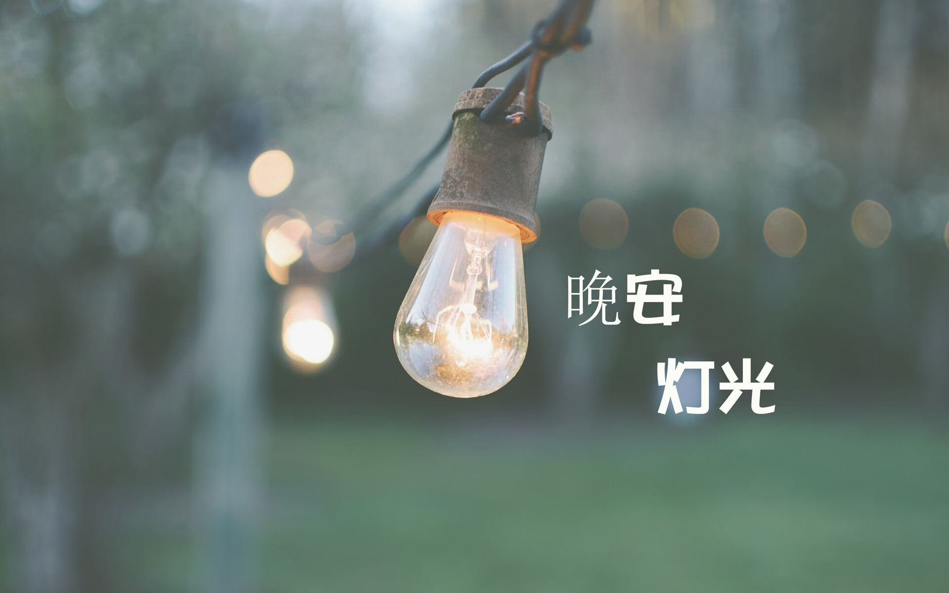唯一的关键,范戴克与那场改写世界杯剧本的节奏之战
