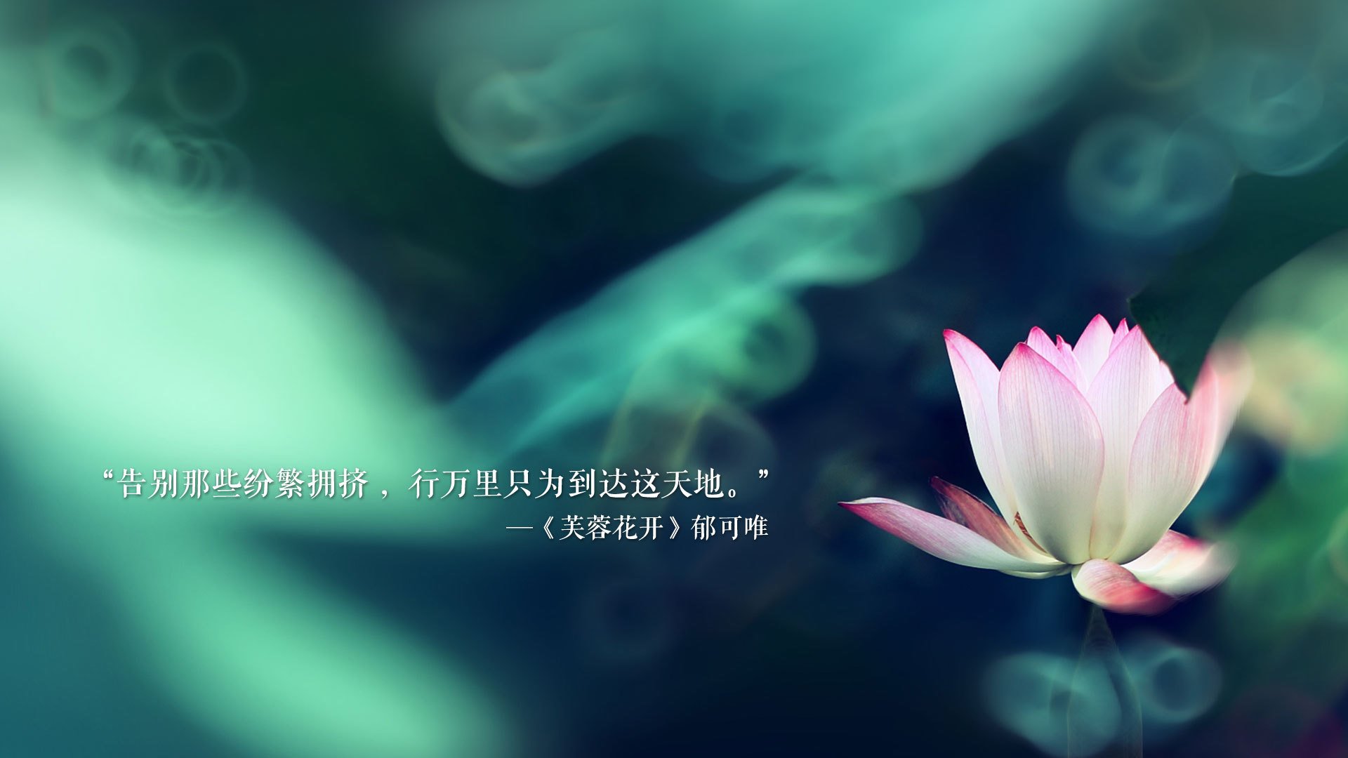 雷火电竞亚洲先驱-北非铁骑踏碎南美劲旅，2026世界杯生死战，突尼斯横扫智利，哈基米铸就永恒之夜